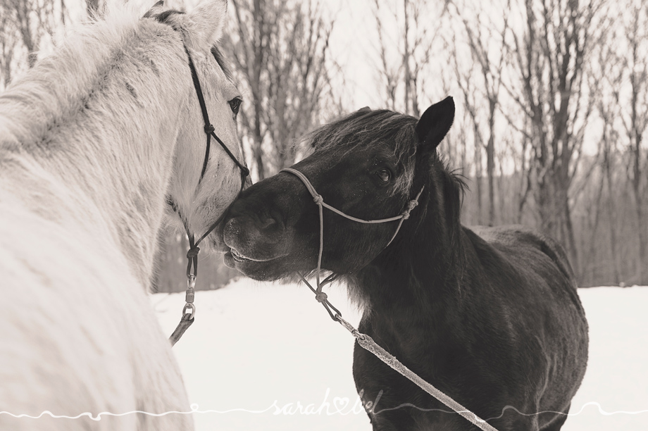 sarah bel | Anna & Gerhard & Pia