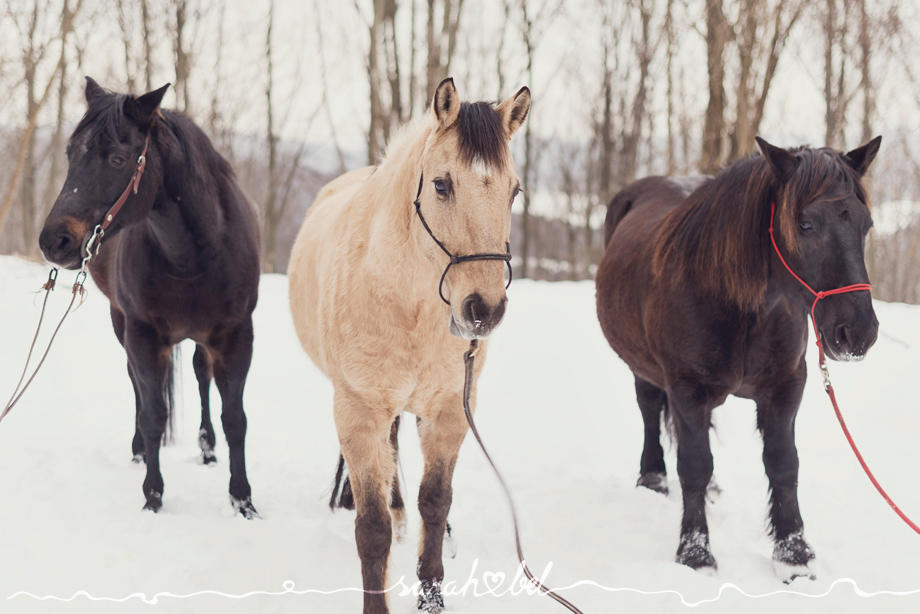 sarah bel | Anna & Gerhard & Pia