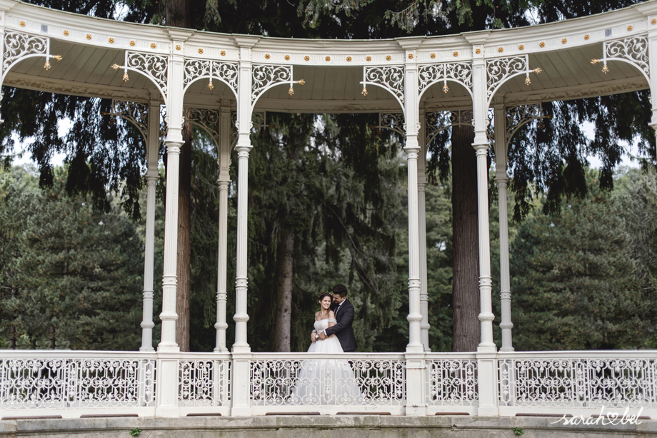 Lainzer Tiergarten Fotograf