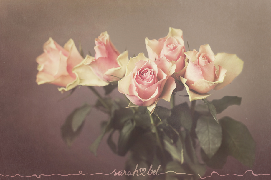 sarah bel | Nele & Daniel 22
